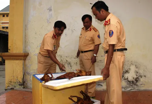 Bắt giữ xe chở 2 tấn hoa quả nhãn mác Trung Quốc lên miền núi bán ảnh 2