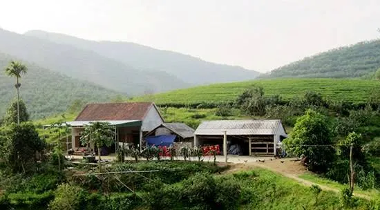 Đàn voi rừng 6 con kéo về quậy phá vườn nhà dân ảnh 1