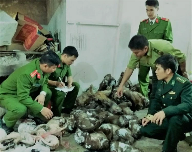 Lực lượng chức năng thu giữ tang vật tại nhà anh nhà anh Ngô Đức Cường.