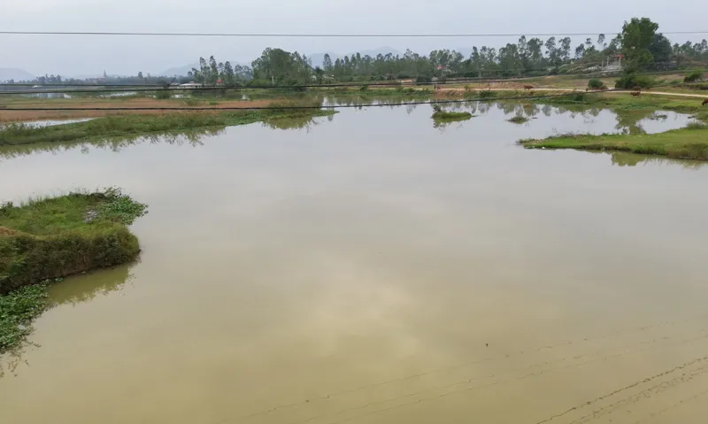 Cận cảnh căn nhà bỏ hoang vì bị đưa thi thể vào mổ ảnh 2