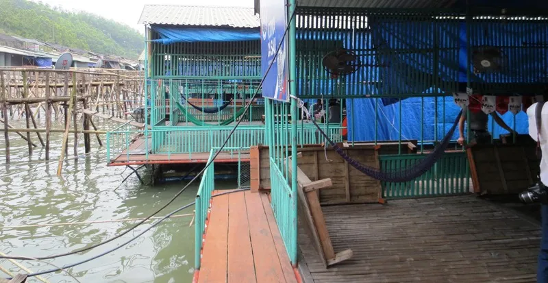 Tìm nguyên nhân hàng trăm kg cá, mực ở Vũng Áng chết 