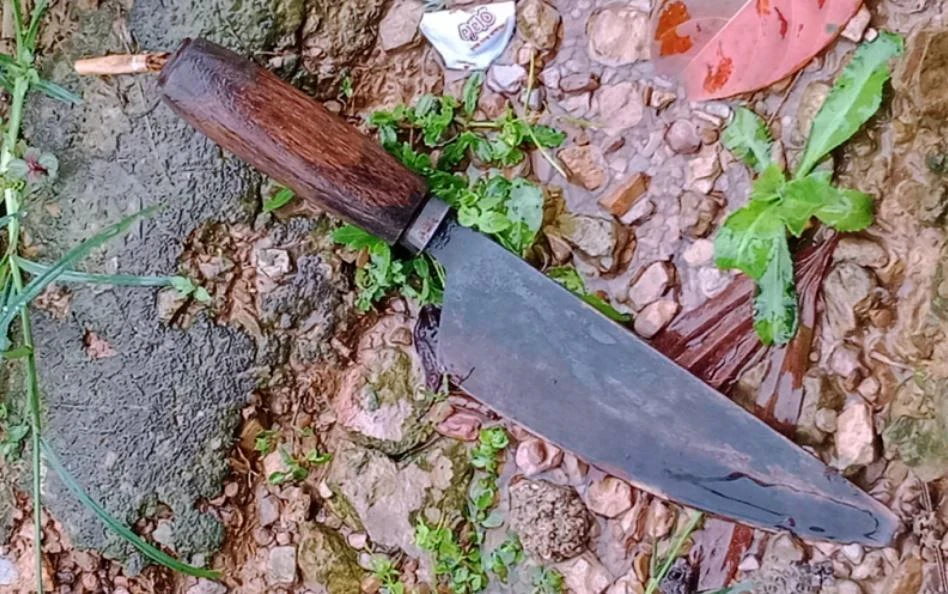 Một con dao công an thu giữ được trong quá trình truy bắt nghi phạm. Ảnh: CA.