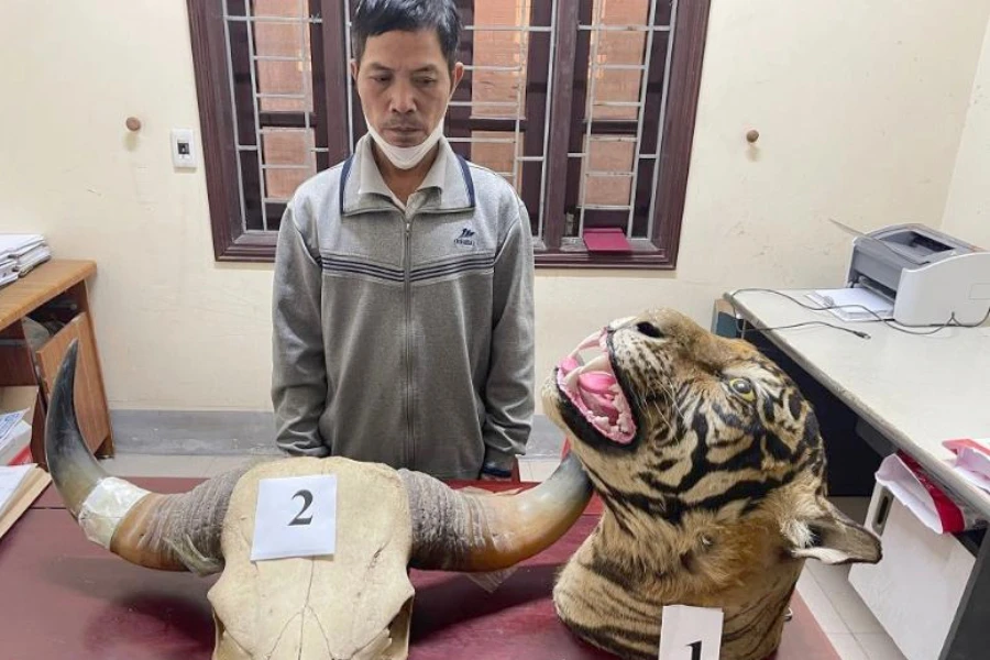 Hải và tang vật đầu hổ, sừng trâu rừng. Ảnh: CA.