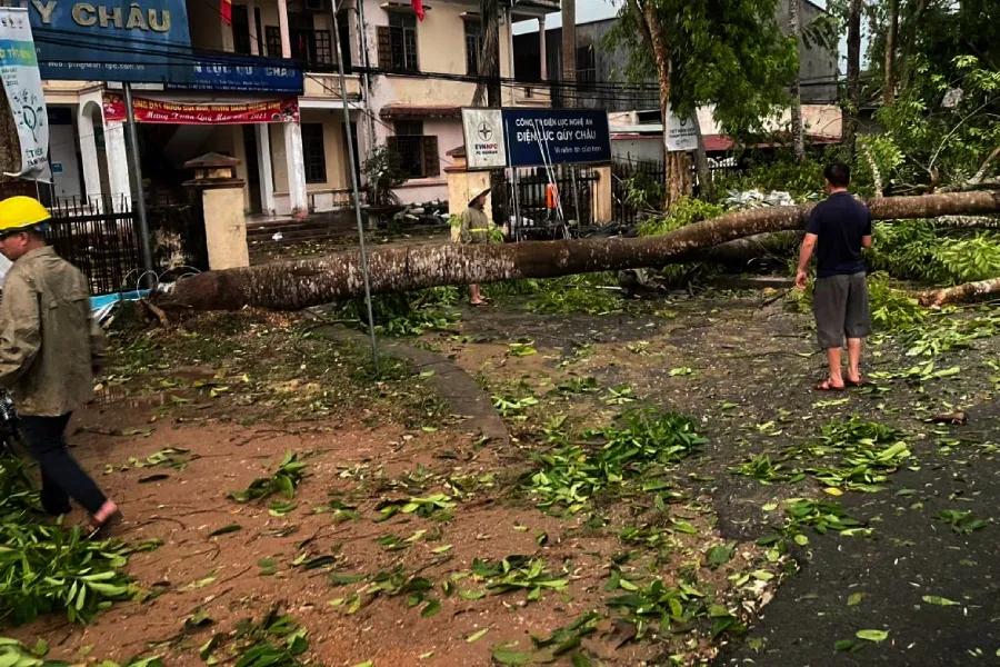 Cây xanh ngã đổ ở huyện miền núi Quỳ Châu (Nghệ An). Cây xanh ngã đổ ở huyện miền núi Quỳ Châu (Nghệ An).