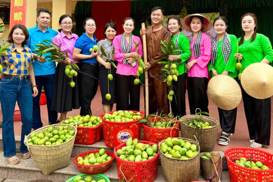 Thầy, cô giáo Trường Phổ thông dân tộc bán trú THCS Hội Nga thu hoạch được nhiều xoài để tặng học sinh.