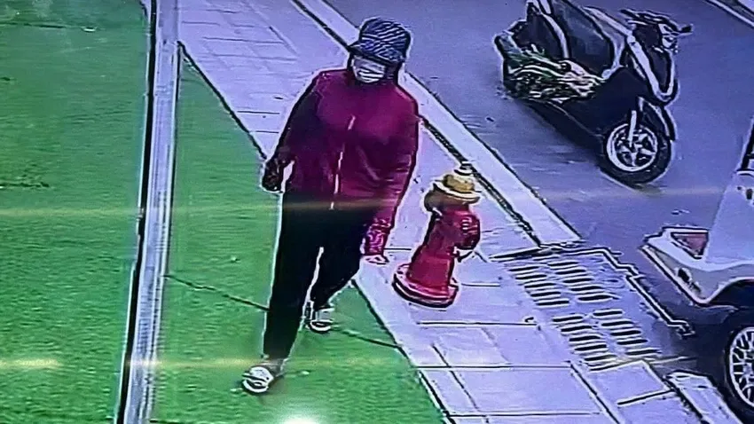 Bị can Trang ở thời điểm bắt cóc cháu bé 2 tuổi. Ảnh cắt từ màn hình trang.jpg