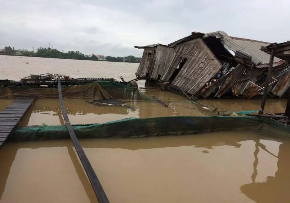 Bè cá tan hoang khi bị sà lan đâm trúng