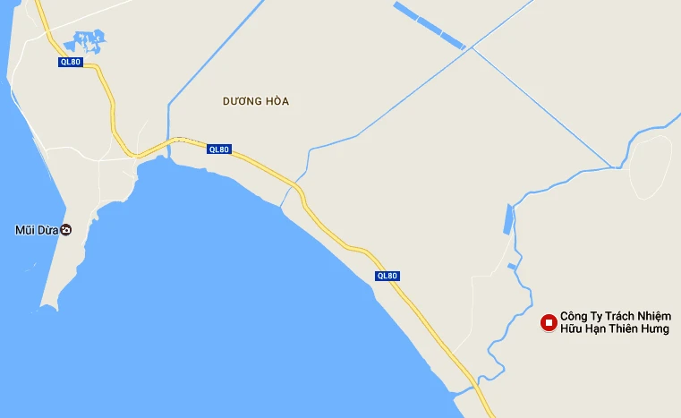 Cá biển chết hàng loạt ở Kiên Giang ảnh 1