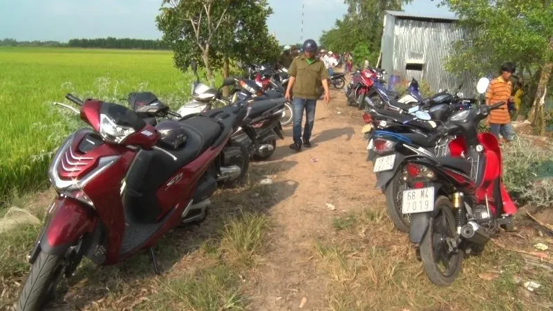 Kiên Giang bắt ổ đá gà thường xuyên đổi địa điểm ảnh 1