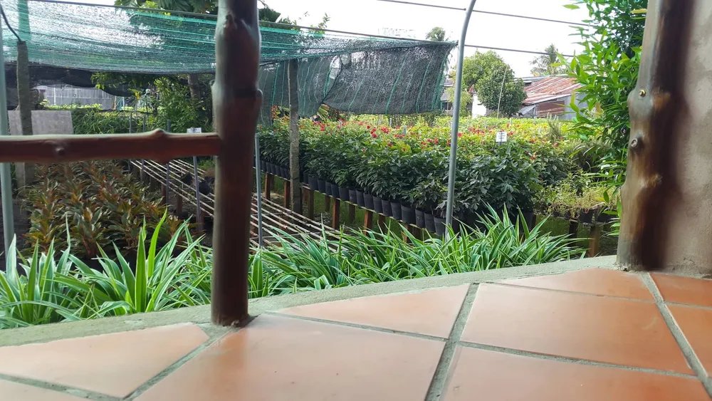 Checkin làng hoa Sa Đéc trước giờ trăm hoa đua nở ảnh 10