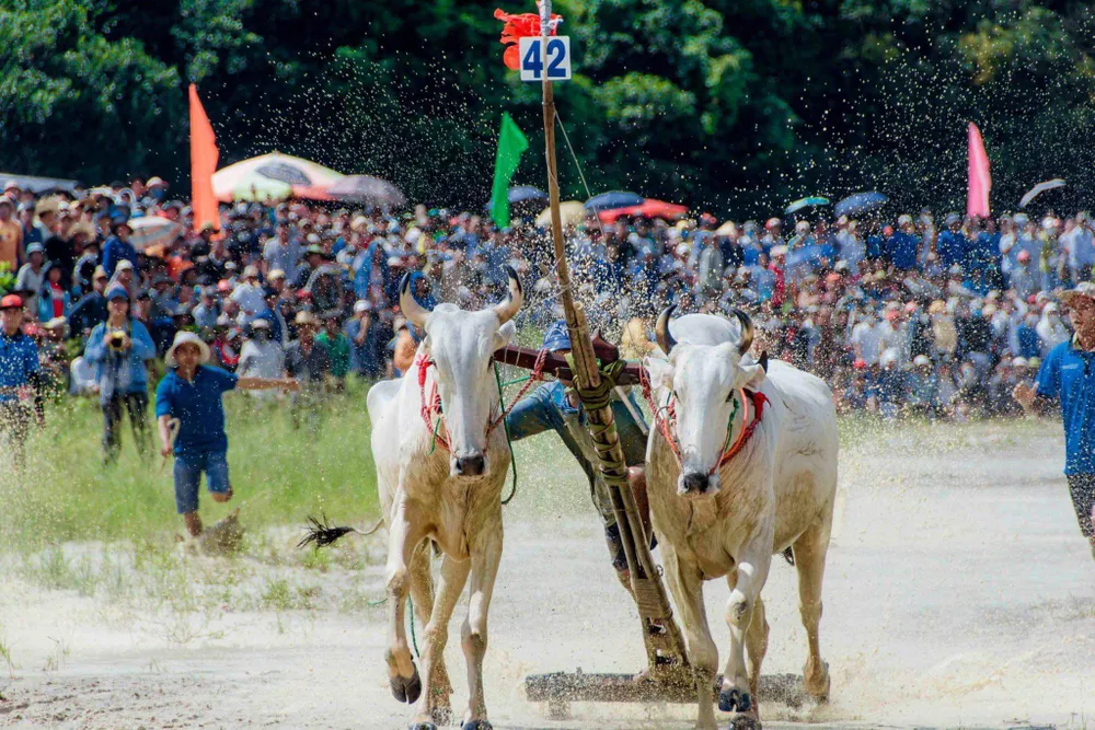 z4783749633136_9f007869e5de22777dbc695934193c45.jpg
