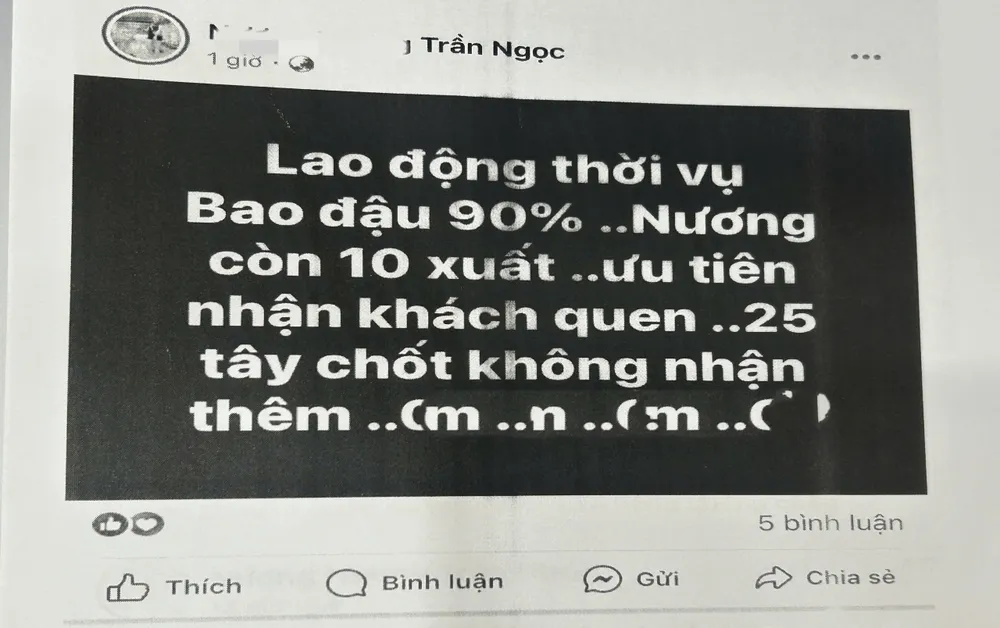 Thông tin cô N đăng tuyển người đi lao động thời vụ ở Hàn Quốc anh lua dao.jpg