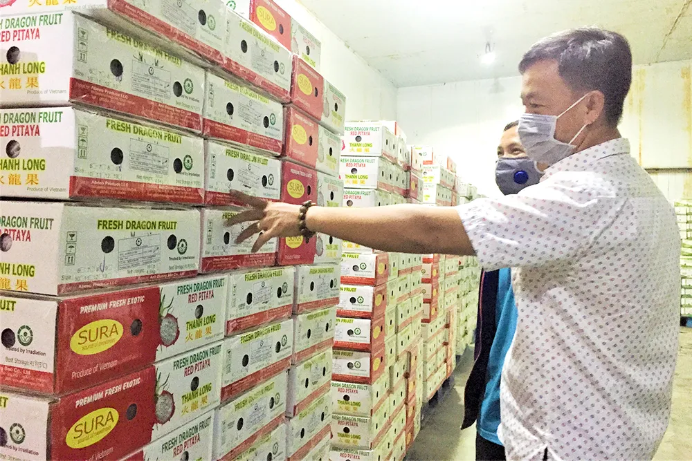 Việt kiều mách nước đưa hàng Việt sang Mỹ ảnh 2