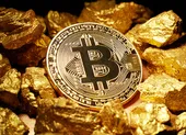 Lo vỡ bong bóng bitcoin khiến nhà đầu tư trắng tay ảnh 3 Dự báo 'kinh hoàng' về đồng tiền bitcoin