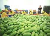 Khách dồn dập mua tour, tín hiệu vui cho du lịch ảnh 2 Gói 1.900 tỉ USD ảnh hưởng ra sao tới Việt Nam?