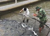 Bảo hiểm COVID-19 cho du khách là cần thiết ảnh 5 Tự ý tung hàng chục tấn cá tầm Trung Quốc ra thị trường bán