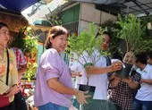 Đấu giá cây vườn, góp quà quê cho bà con