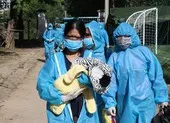 Quảng Ngãi sẽ đón 1.160 người yếu thế, có hoàn cảnh khó khăn về quê tránh dịch