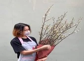 Hơn cả 'trách nhiệm xã hội' ảnh 1 Hoa cắm cành độc, lạ hút khách TP.HCM