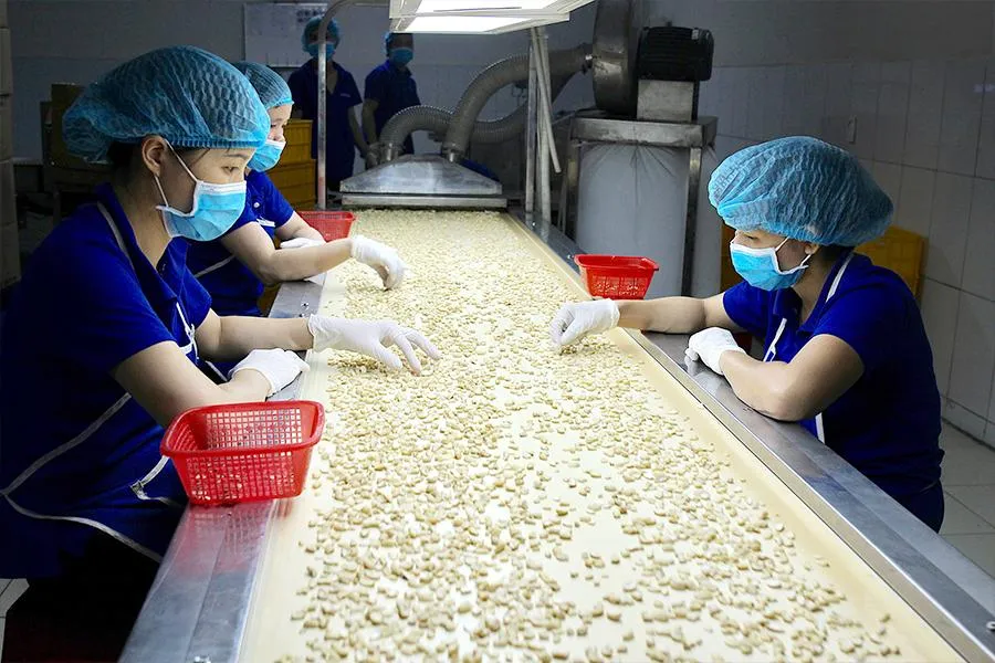 Tối đa hóa nguồn nguyên liệu nội địa, giảm dần sự phụ thuộc vào nhập khẩu sẽ giúp doanh nghiệp giảm rủi ro tỉ giá. Ảnh: QH Tối đa hóa nguồn nguyên liệu nội địa, giảm dần sự phụ thuộc vào nhập khẩu sẽ giúp doanh nghiệp giảm rủi ro tỉ giá. Ảnh: QH