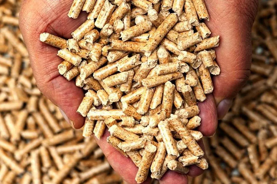 Sản phẩm viên nén gỗ Việt được các nước châu Âu ưa chuộng. Ảnh: CTV Sản phẩm viên nén gỗ Việt được các nước châu Âu ưa chuộng. Ảnh: CTV