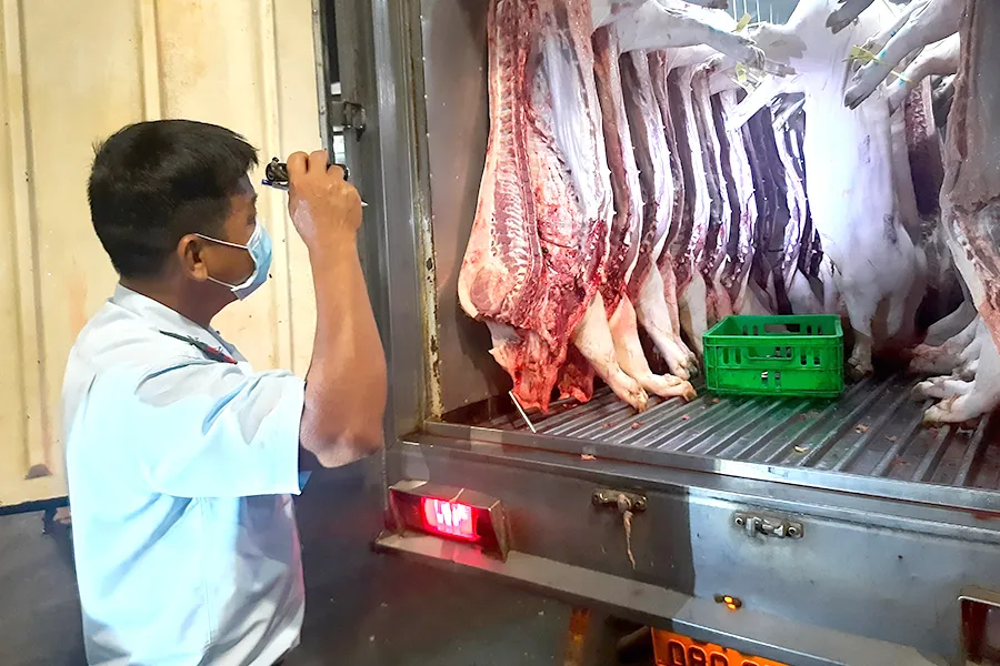 Thịt heo được kiểm tra kỹ trước khi đưa vào chợ đầu mối Hóc Môn kinh doanh. Ảnh: TRẦN NGỌC