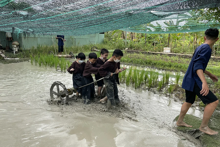 Học sinh tham gia khóa bán trú hè của Nhà thiếu nhi TP.HCM vào năm 2022. Ảnh: Nhà thiếu nhi TP.HCM Học sinh tham gia khóa bán trú hè của Nhà thiếu nhi TP.HCM vào năm 2022. Ảnh: Nhà thiếu nhi TP.HCM