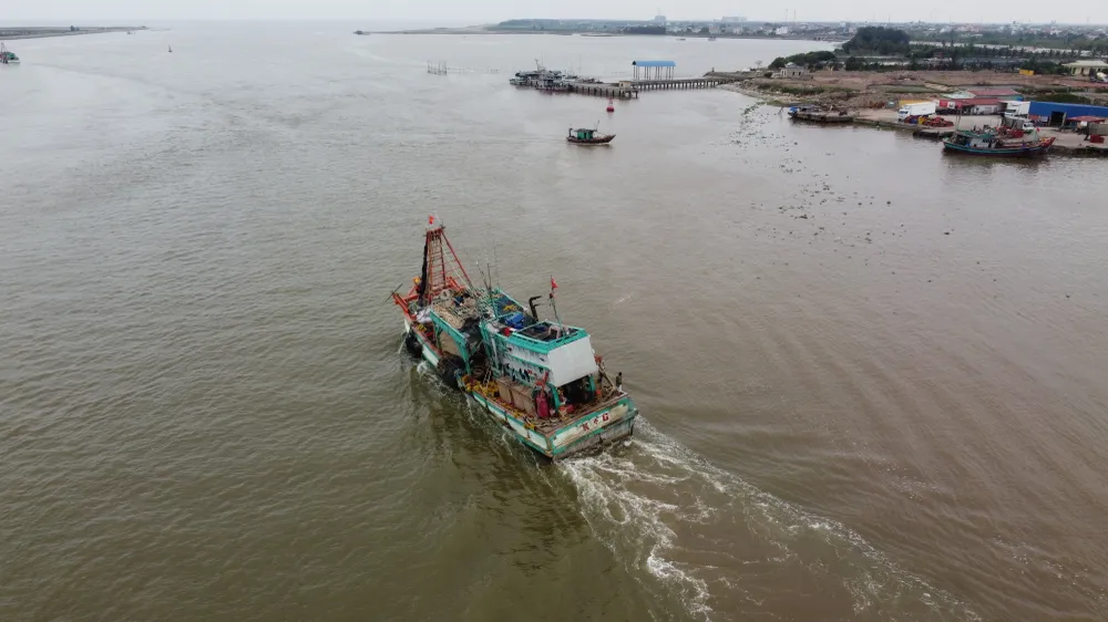 P1011_Chan trang_h2.JPG