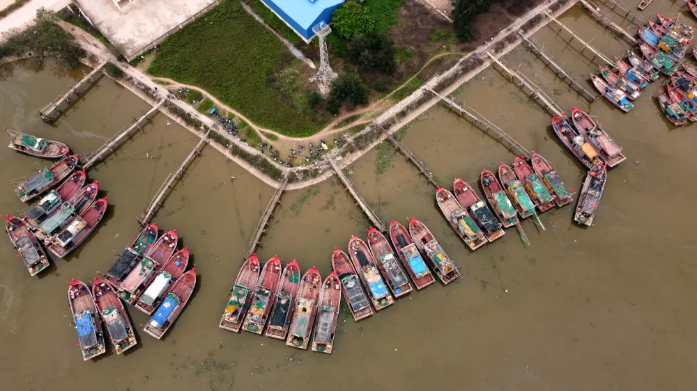 P1011_Chan trang_h4.JPG