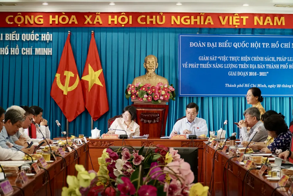 Toàn cảnh buổi giám sát. Ảnh: PHƯƠNG ĐẶNG