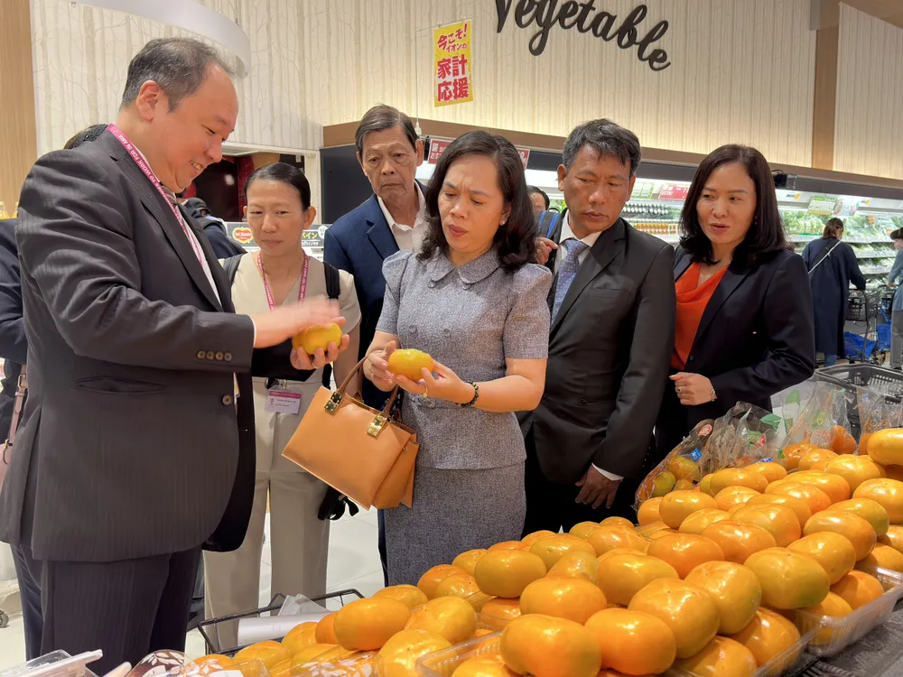 Ban Chỉ đạo Cuộc vận động người Việt Nam ưu tiên dùng hàng Việt Nam TP.HCM cùng lãnh đạo tập đoàn AEON khảo sát tại Trung tâm thương mại AEON Makuhari Shintoshin. Ảnh: PHƯƠNG ĐẶNG tập đoàn AEON