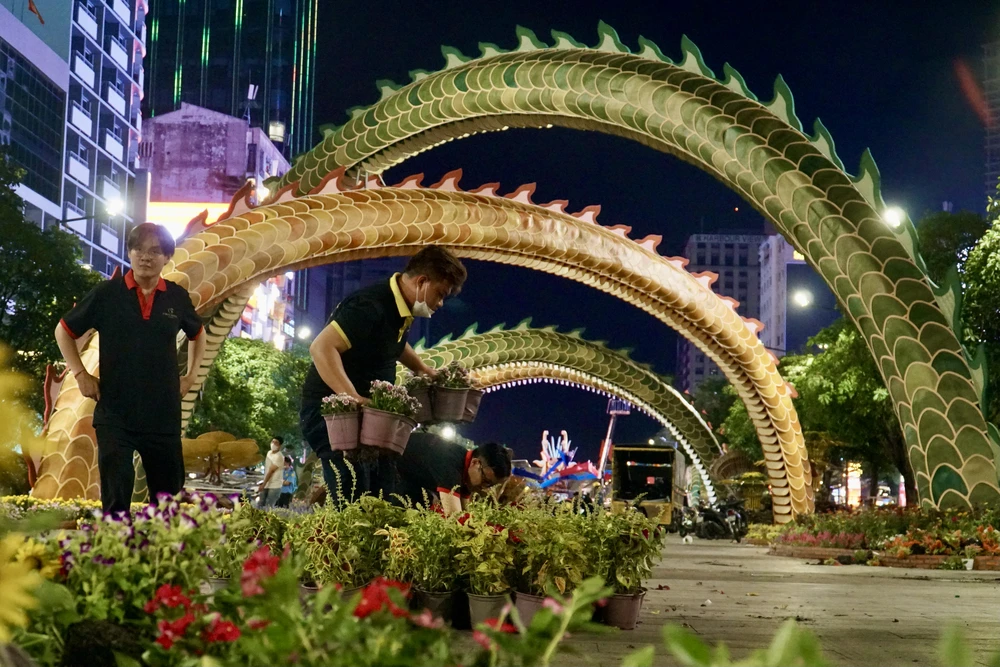 duong-hoa-nguyen-hue-15.JPG