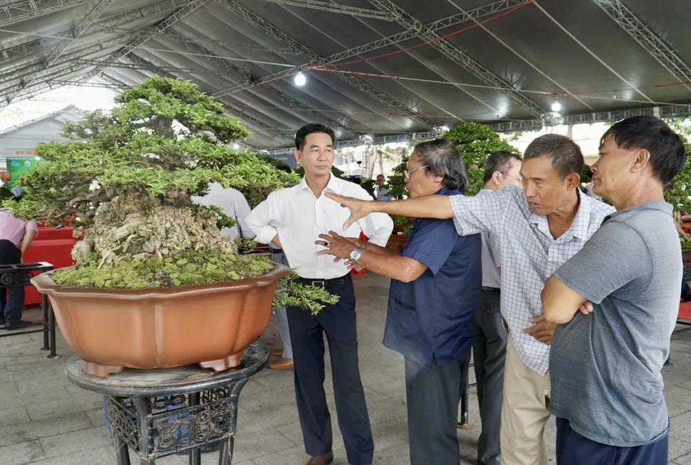 Khách tham quan ngắm cây bonsai tại Hội thi triển lãm sinh vật cảnh. Ảnh: QUANG VINH hoi-thi-trien-lam-sinh-vat-canh-2.JPG