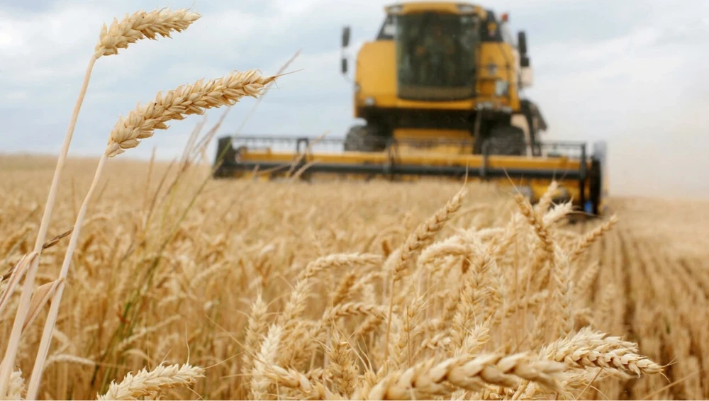 Hình ảnh thu hoạch lúa mì tại Ukraine. Ảnh: AFP