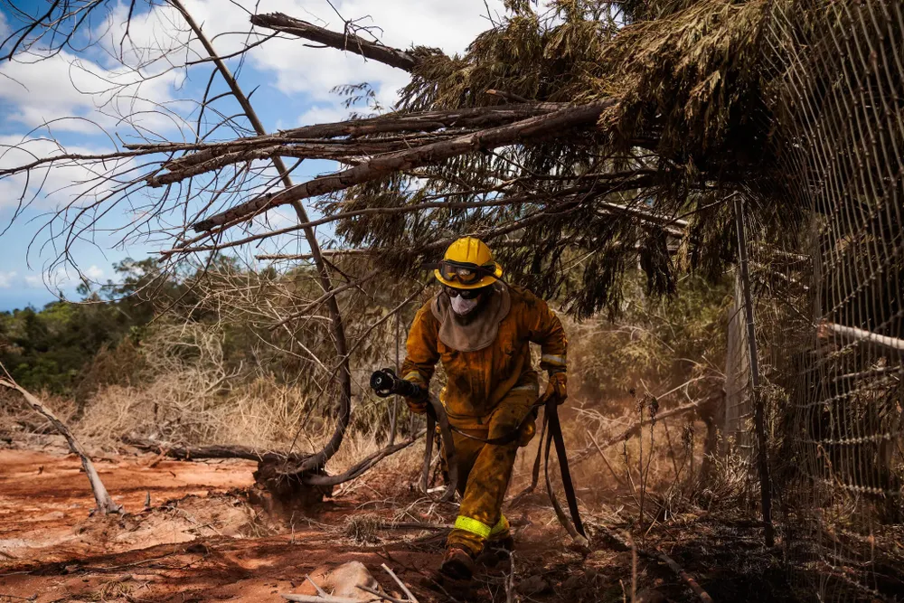 Lính cứu hỏa làm việc trên đảo Maui, bang Hawaii (Mỹ). Ảnh: THE NEW YORK TIMES Lính cứu hỏa làm việc trên đảo Maui, bang Hawaii (Mỹ). Ảnh: THE NEW YORK TIMES