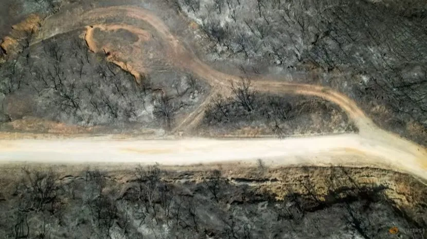 Một phần đất đai làng Avantas ở vùng Evros, Hy Lạp trơ trụi sau cháy rừng ngày 28-8. Ảnh: REUTERS Một phần đất đai làng Avantas ở vùng Evros, Hy Lạp trơ trụi sau cháy rừng ngày 28-8. Ảnh: REUTERS