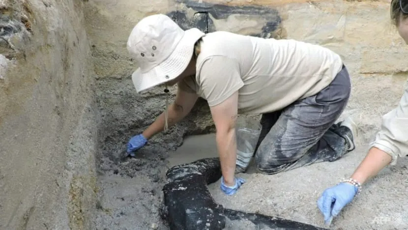 Các nhà khảo cổ khai quật kiến trúc bằng gỗ tại thác Kalambo (Zambia). Ảnh: AFP Hình tin.jpg