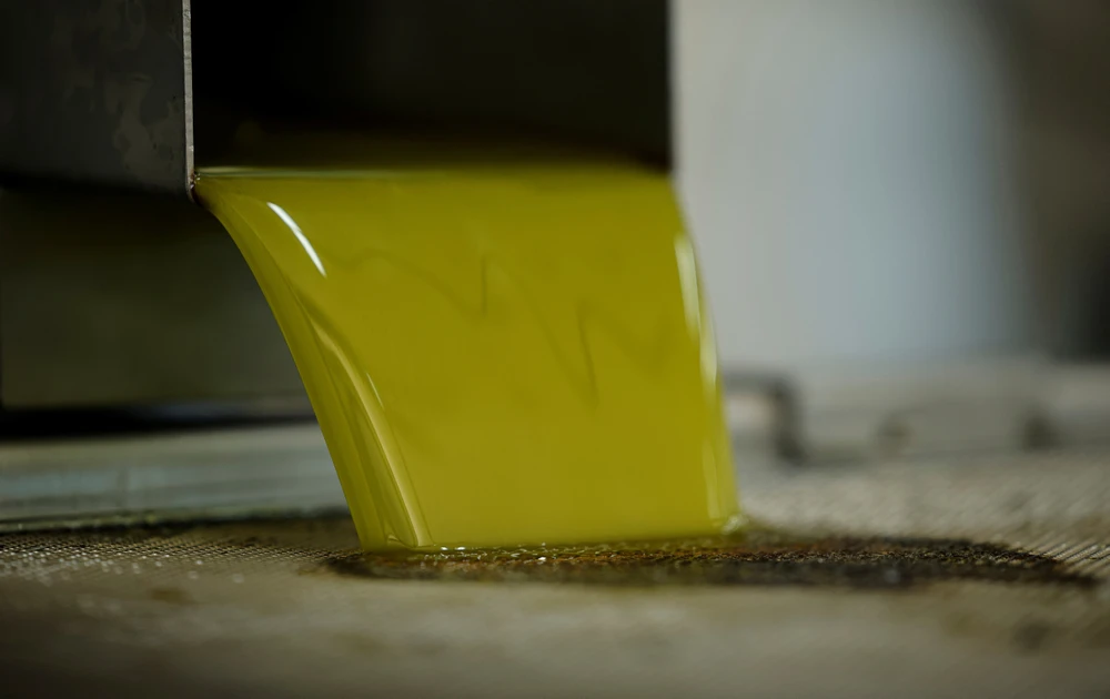 Vàng lỏng dầu olive