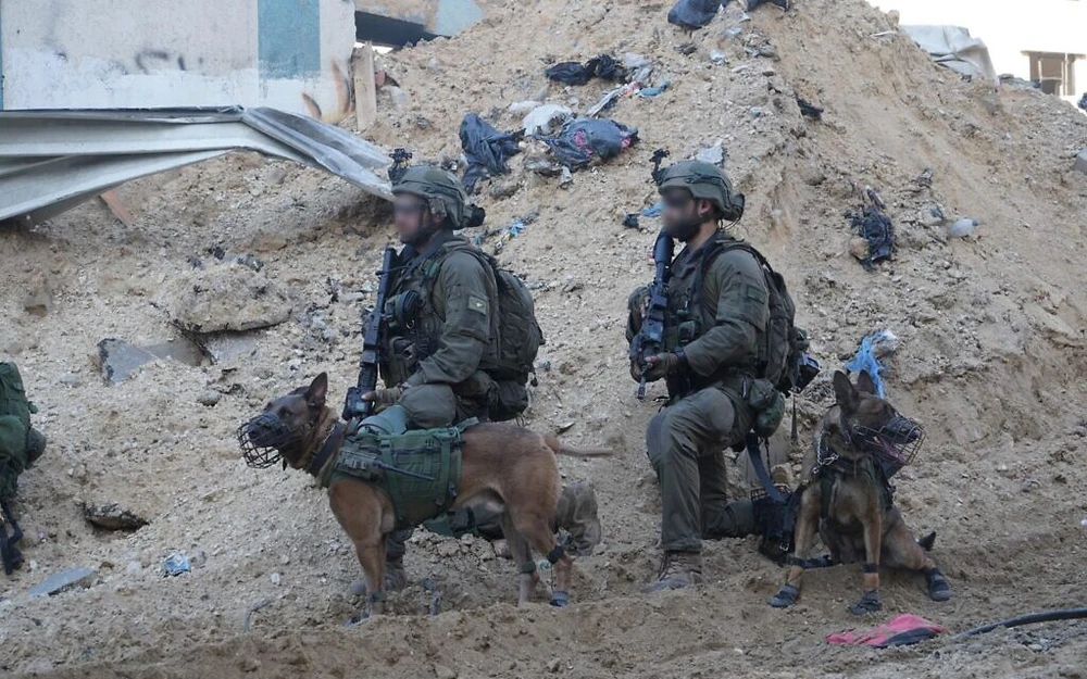 Lực lượng Israel tại Gaza. Kể từ khi xung đột Israel-Hamas nổ ra, Israel đã đưa lượng lớn binh sĩ vào Gaza. Ảnh: LỰC LƯỢNG PHÒNG VỆ ISRAEL Xung đột Israel-Hamas 27-2: Israel phát hiện mạng lưới đường hầm kéo dài từ bắc đến trung Gaza