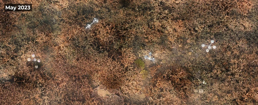 image1.webp