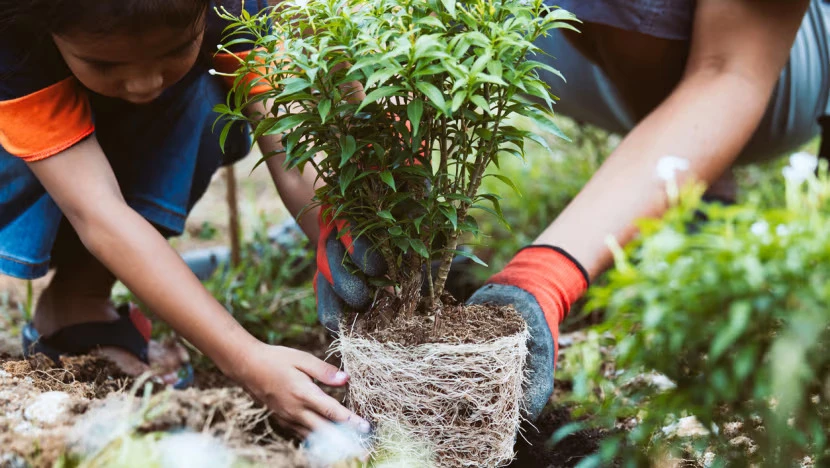 Cha mẹ nên đồng hành cùng con trong quá trình học hỏi để bảo vệ môi trường. Ảnh: ISTOCK Để giúp trẻ em yêu thiên nhiên và có ý thức bảo vệ môi trường, chuyên gia khuyên người lớn nên làm gương và thường xuyên giáo dục trẻ về tầm quan trọng của môi trường sống.