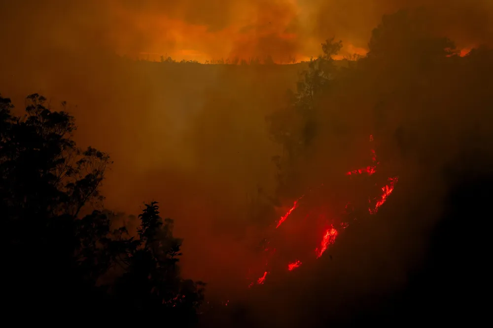 Hình ảnh cháy rừng ở thủ đô Quito (Ecuador) ngày 24-9. Ảnh: REUTERS cháy rừng dữ dội ở ecuador 2.png