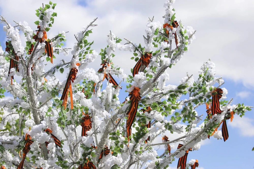 Những dải ruy băng Thánh George được treo trên cây.jpg
