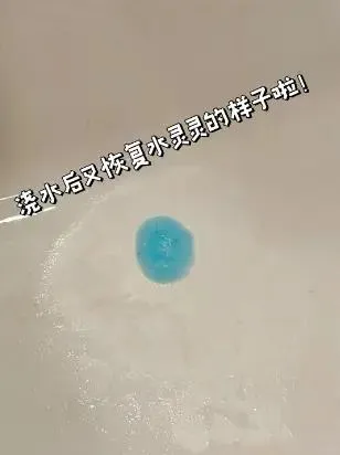 thú cưng kỳ lạ.jpg