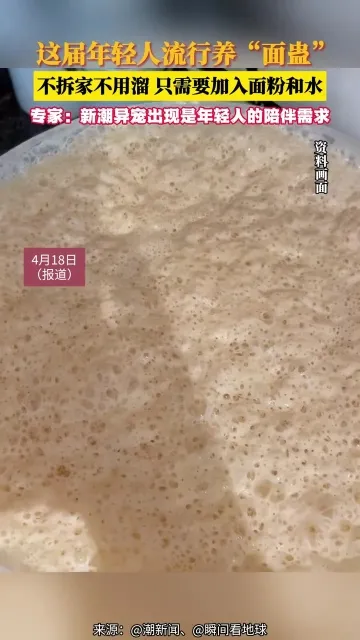 thú cưng kỳ lạ .jpg