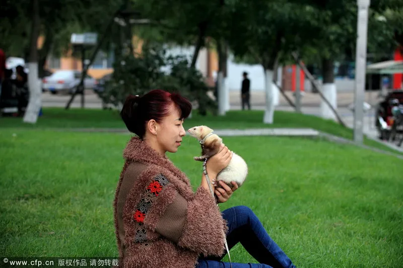 Ngắm 15 con thú cưng 'độc đáo' ảnh 7