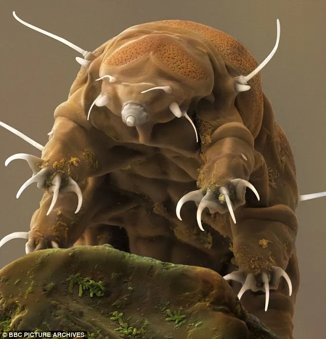 10 loài 'thủy quái' kinh hoàng ảnh 3 10 loài 'thủy quái' kinh hoàng ảnh 3