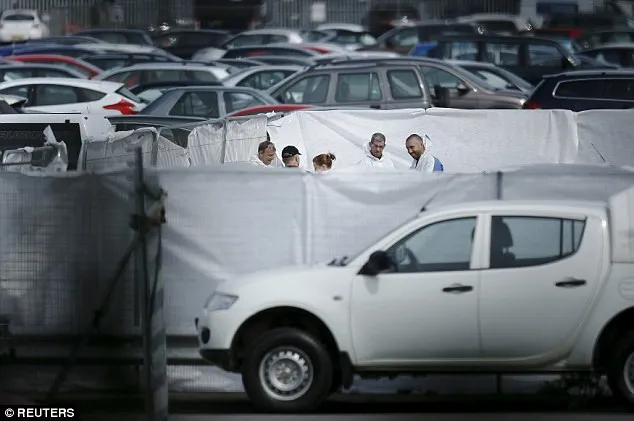 Khoảnh khắc kinh hoàng khi máy bay chở gia đình Bin Laden rơi ảnh 6 Khoảnh khắc kinh hoàng khi máy bay chở gia đình Bin Laden rơi ảnh 6