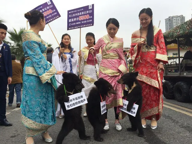 Bức xúc vì doanh nghiệp xích gấu đi quảng bá bất động sản ảnh 2