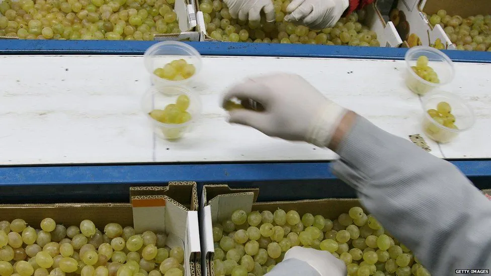 Những màn chào đón năm mới 'quái lạ' trên thế giới ảnh 3 Những màn chào đón năm mới 'quái lạ' trên thế giới ảnh 3